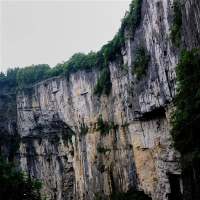 Chongqing Zaub Mov Thiab Lub Nroog Tours